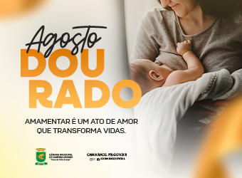 CMCG 2025 AGOSTO